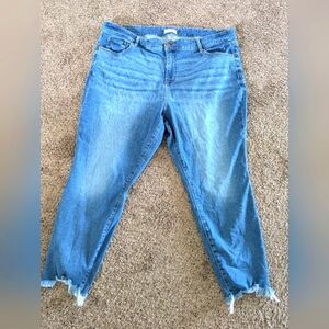 Loft Plus Jeans Sz22